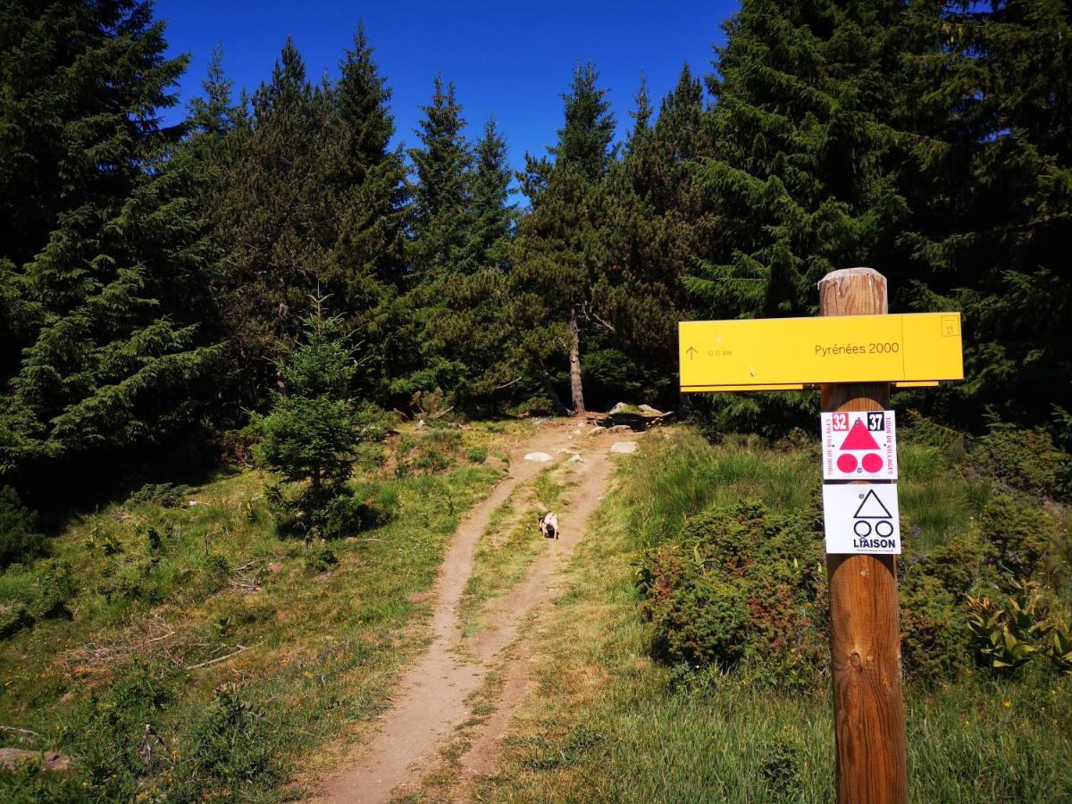 Apt Confortable Au Pied Des Pistes Et De La Foret Bolquere Pyrenees 2000 Kültér fotó