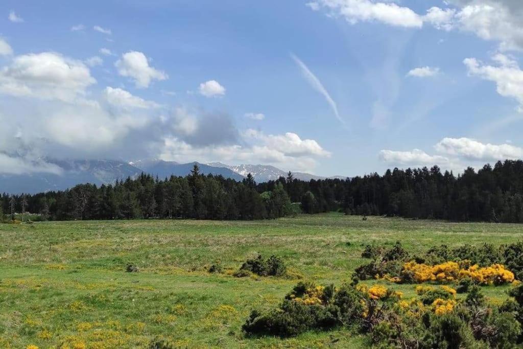 Apt Confortable Au Pied Des Pistes Et De La Foret Bolquere Pyrenees 2000 Kültér fotó