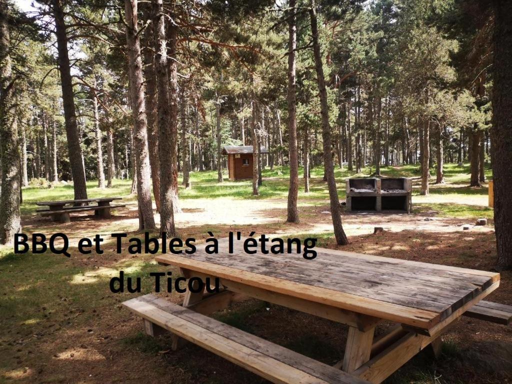 Apt Confortable Au Pied Des Pistes Et De La Foret Bolquere Pyrenees 2000 Kültér fotó